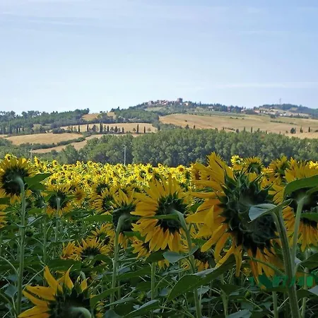 Marta Contignano